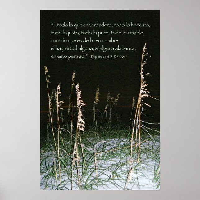 Póster Despesas 4-8b (Frente)