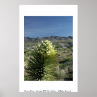 Dessert Bloom
