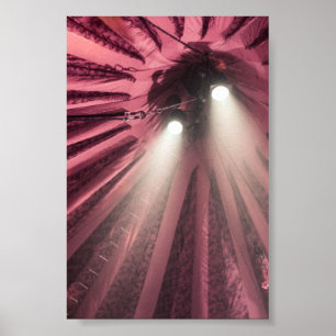 Póster Destaques do tempo de exibição sob o topo grande