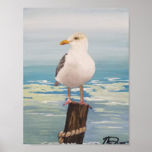 Destin Seagull