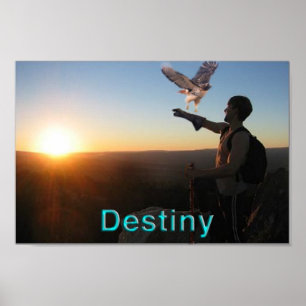 Póster Destino