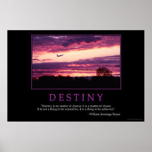 Poster Destiny