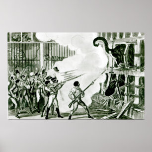 Póster Destruição do elefante furioso em Exeter