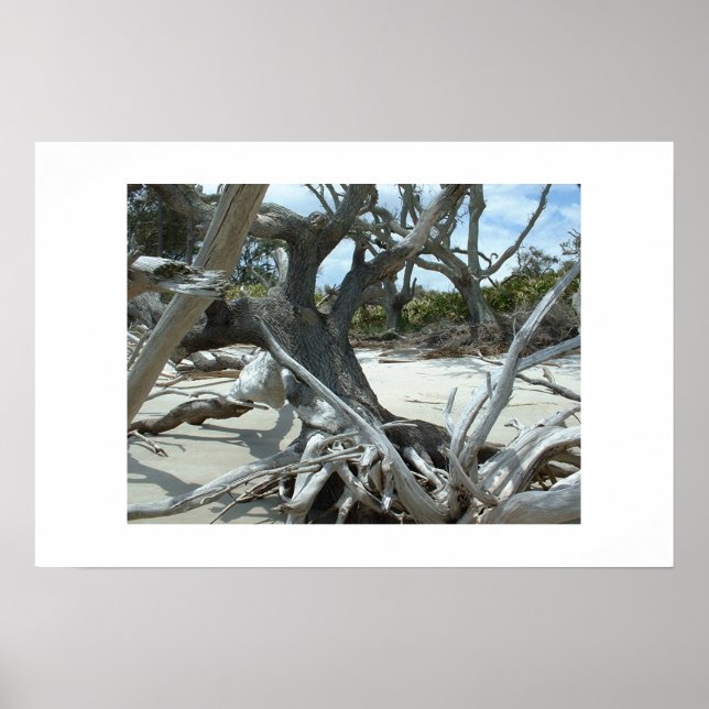 Poster Desvio (Frente)