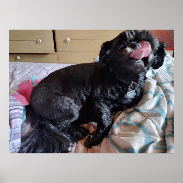 Poster Desvio da língua (Frente)