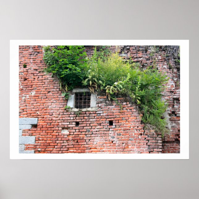 Poster Detalhe da Janela Medieval (Frente)