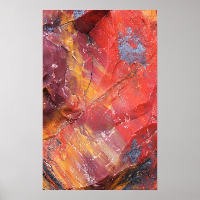 Poster Detalhe da madeira vermelha Petrificada, Arizona (Frente)