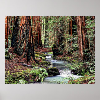 Poster Detalhe da Profundidade 92