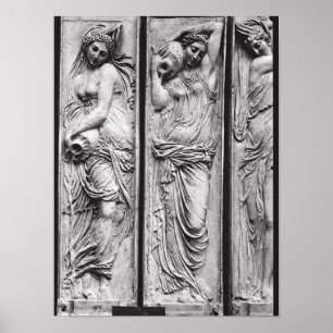 Póster Detalhe de alivios