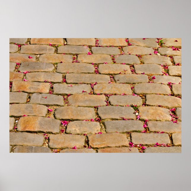 Poster Detalhe de Caminhada de Cobblestone (Frente)