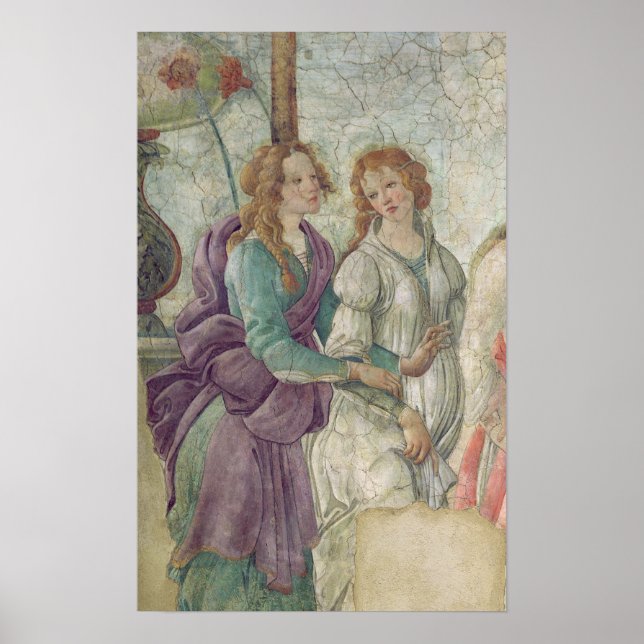 Póster Detalhe de Vênus e Graves (Frente)