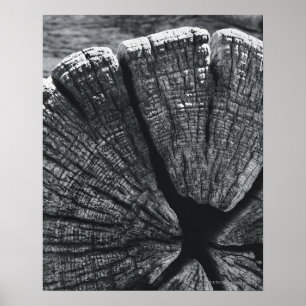 Póster Detalhe do Woodgrain