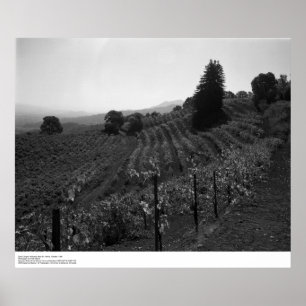 Póster Detalhe, Draper Vineyards perto da Rua.