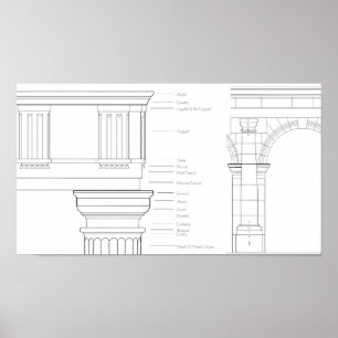 Poster Detalhes de Vitruvian