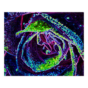 Póster Detalhes do Rosa verde e azul preto gráfico