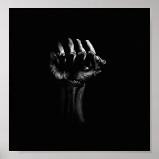 Póster Determinação