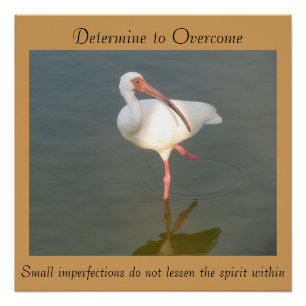 Póster Determine superar - 20" x 20" poster