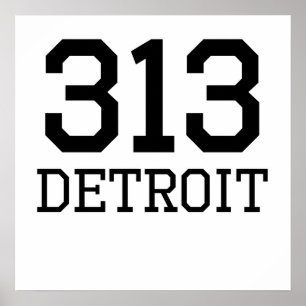 Poster Detroit Area Code 313