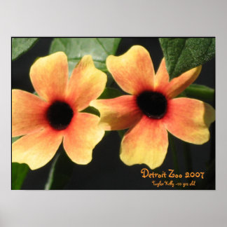 Póster Detroit Zoo