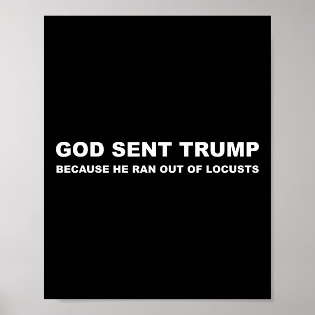 Poster Deus Enviou Trump Porque Ele Saiu De Gafanhotos An (Frente)