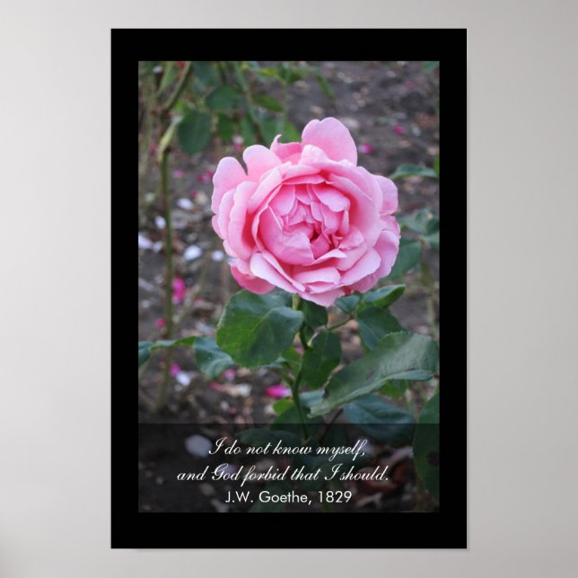 Poster Deus me livre de que eu deveria me conhecer. (Frente)