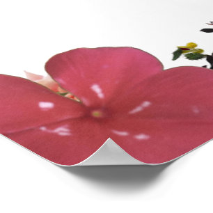 Poster Deuteronomia 31, Não tenha medo, Red Floral
