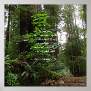 Póster Deuteronomia 4:29 ~ Procure o Senhor