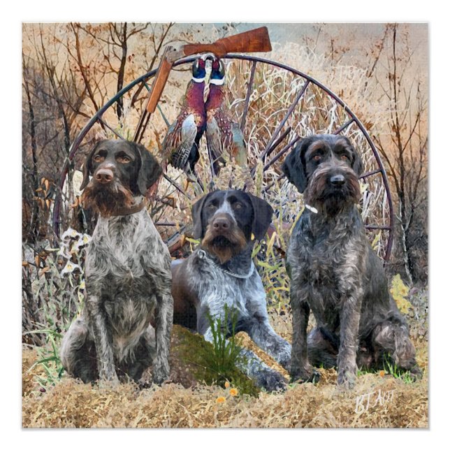 Póster Deutsch Drahthaar Poster (Frente)