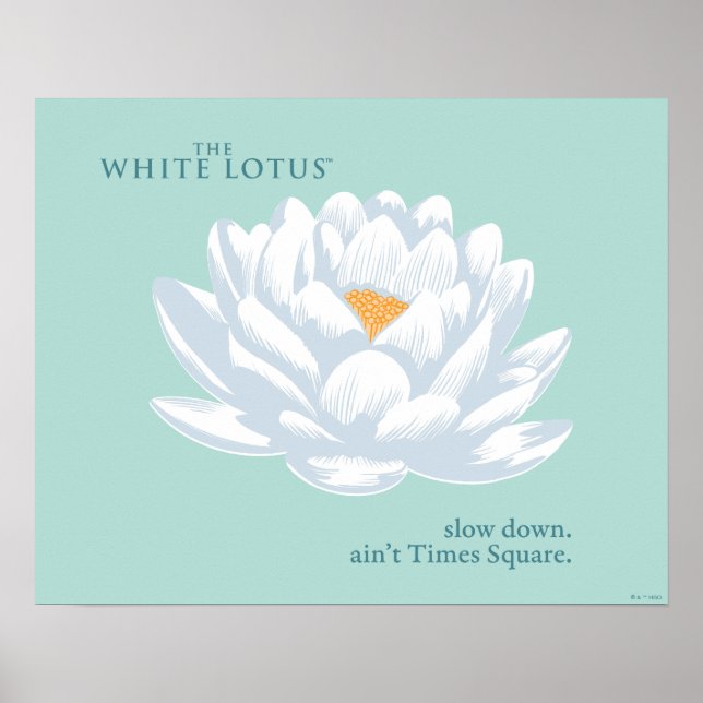 Poster Devagar, Ain Times Square - O Lotus Branco (Frente)