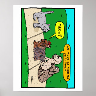 Poster Deve ser legal