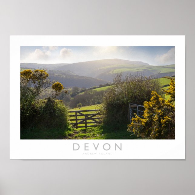 Poster Devon (Frente)