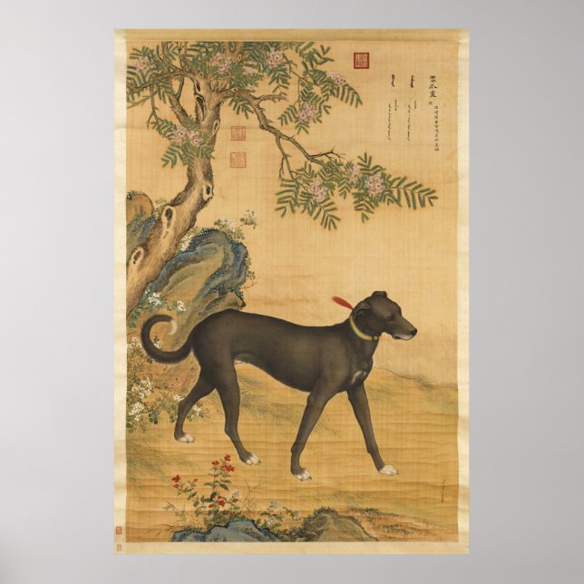 Poster Dez Cães Preciados - Xuezhualu(canine cinza chinês (Frente)