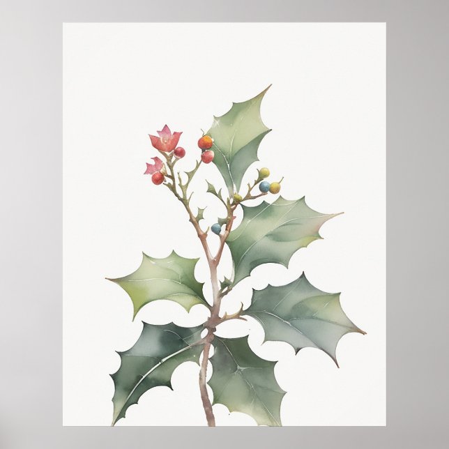 Poster Dezembro Holly Birth Flower (Frente)