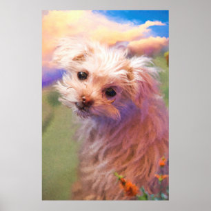 Poster Dia 1 de Salvamento Maltês "O ÚLTIMO"