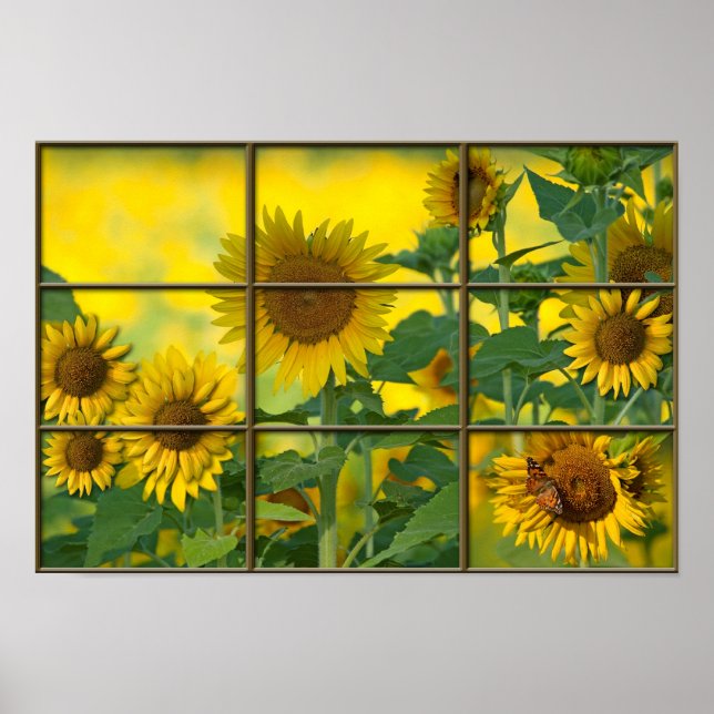 Póster Dia Brilhante (Frente)