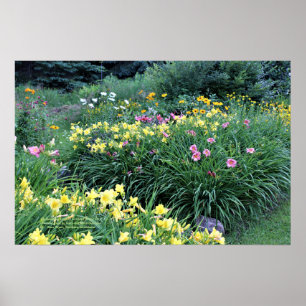 Poster Dia da Chuva dos Jardins Daylily