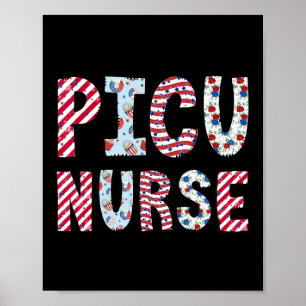 Poster Dia da Independência em Enfermeira Picu Dia Americ