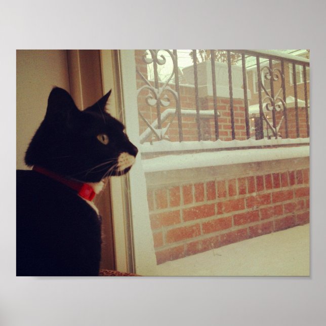 Póster Dia da Neve da Lucy (Frente)