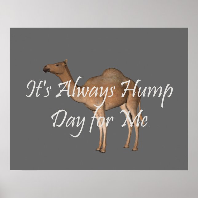 Poster Dia da Teve Hump (Frente)