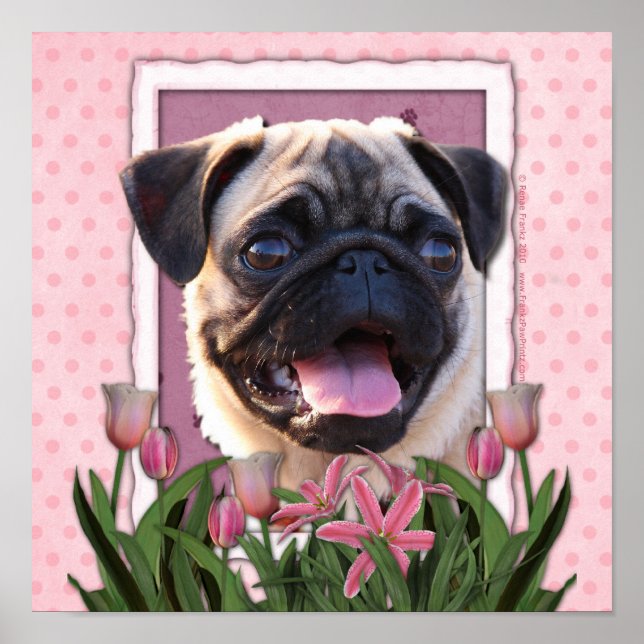Póster Dia de as mães - Tulipas cor-de-rosa - Pug (Frente)