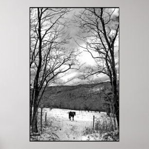 Póster Dia de inverno