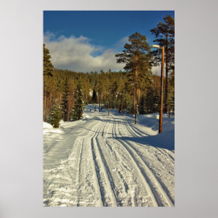 Póster Dia de inverno na suecia