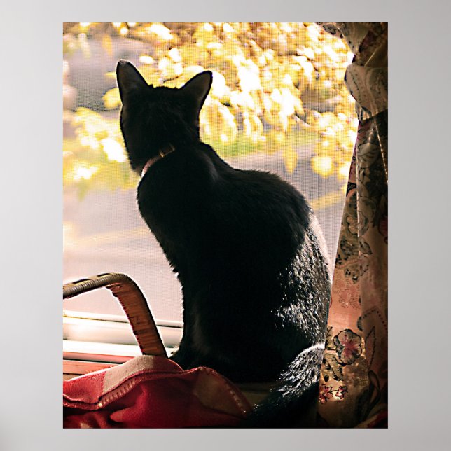 Poster Dia de outubro (Frente)