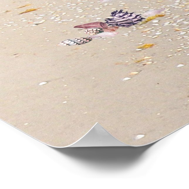 Póster Dia de Praia (Borda)