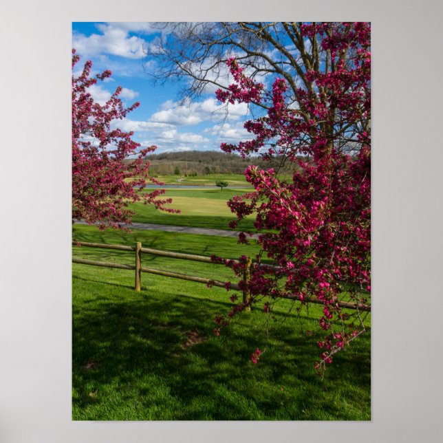 Póster Dia de Primavera em Rivercut (Frente)