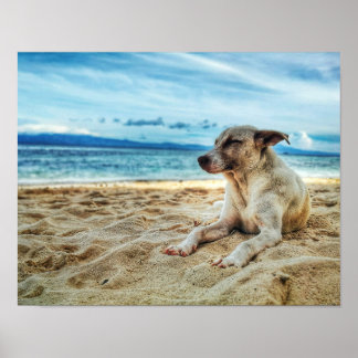 Poster Dia de Relaxamento do Cão na Praia, na Areia Oceân