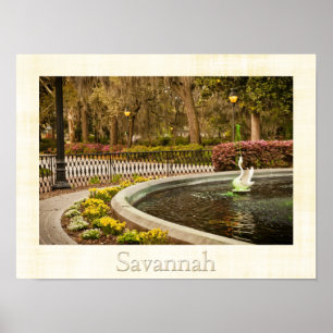 Póster Dia de São Patrício - fonte de Forsyth, savana,