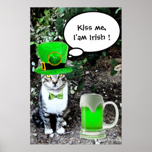 POSTER DIA DE SÃO PATRÍCIO GATO COM CERVEJA IRLANDESA VER