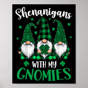 Poster Dia de São Patrício Shamrock Gnomos Fofos Mulheres