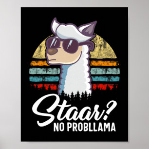 Poster Dia de Teste do Texas Llama Alpaca Para Estudantes